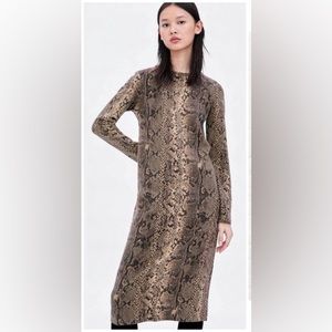 Zara snakeskin animal print sweater midi dress